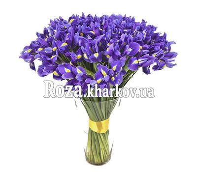 101 ірис в букеті