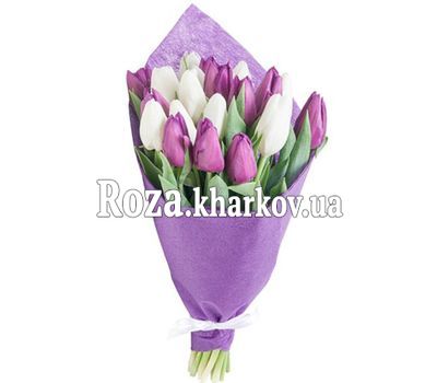 Белые и фиолетовые тюльпаны в букете