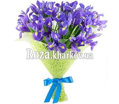 Красивый букет ирисов