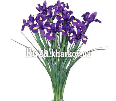 Небольшой букет ирисов