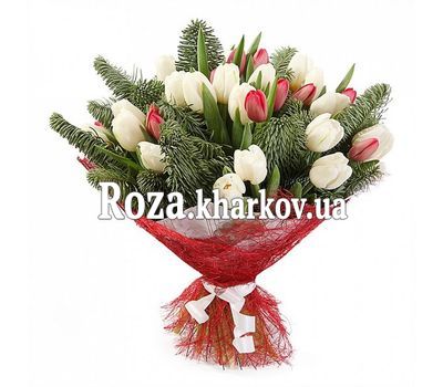 Tulips for the New Year