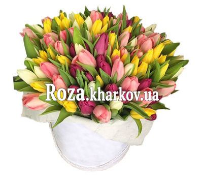 101 тюльпан в коробке