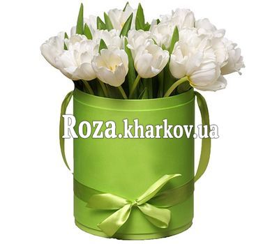 25 белых тюльпанов в коробке