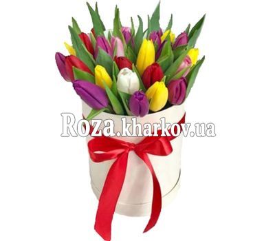 25 разноцветных тюльпанов в коробке