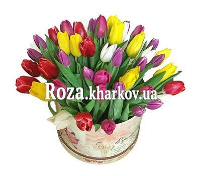51 разноцветный тюльпан в коробке