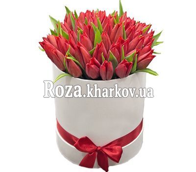 A box of red tulips A box of red tulips