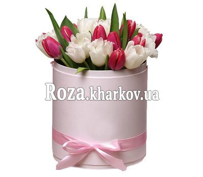 Коробка тюльпанов для любимой