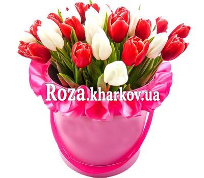 Красные и белые тюльпаны в коробке
