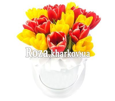 Небольшая коробка тюльпанов