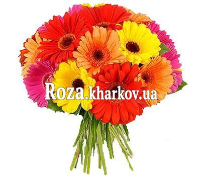 Букет із гербер Букет із гербер