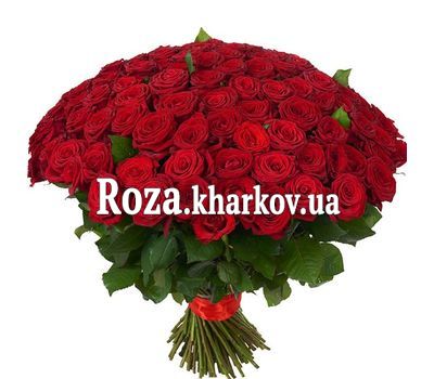 151 красная роза