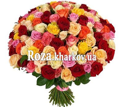 151 multi-colored rose 151 multi-colored rose