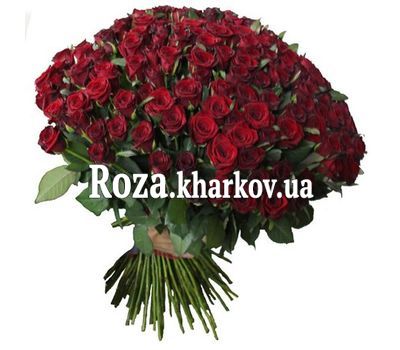 251 красная роза