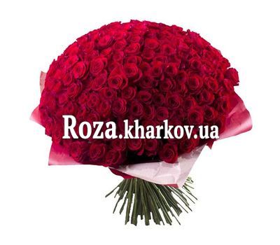 351 красная роза