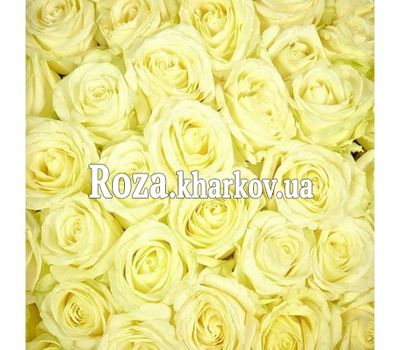 Белые розы поштучно