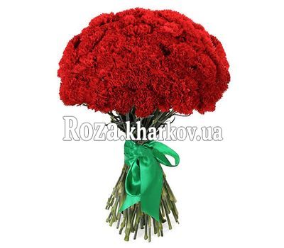 Великий букет гвоздик