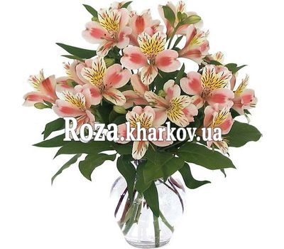Букет цветов из 9 альстромерий