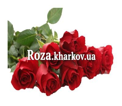 Букет імпортних метрових троянд