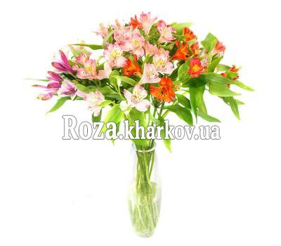Букет из 11 альстромерий Букет из 11 альстромерий