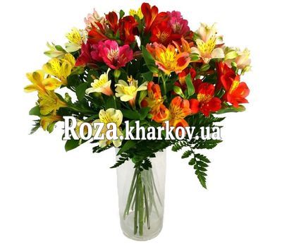 Букет из 19 разноцветных альстромерий