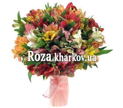 Букет из 51 альстромерии