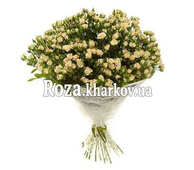 Букет из 51 розы