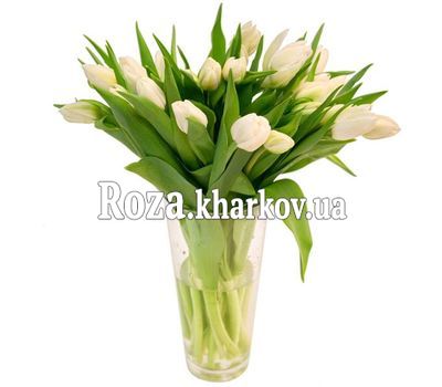 Букет из белых тюльпанов