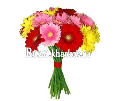 Букет из гербер