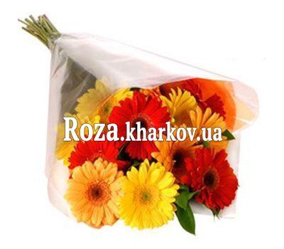 Bouquet of gerberas Bouquet of gerberas