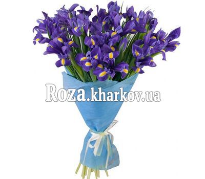 Букет из ирисов