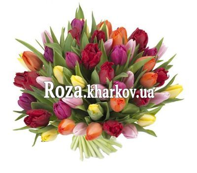 Букет из разноцветных тюльпанов Букет из разноцветных тюльпанов
