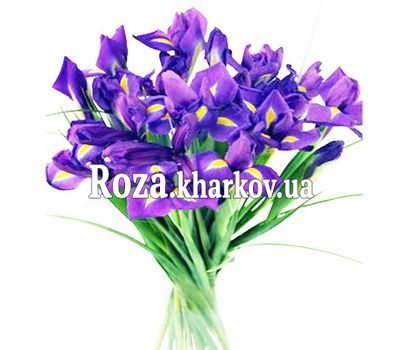 Букет из синих ирисов