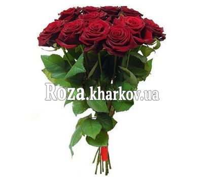 Букет красных роз