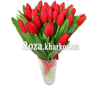 Bouquet of red tulips Bouquet of red tulips