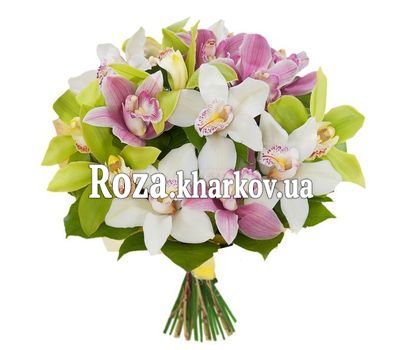 Bouquets of orchids Bouquets of orchids