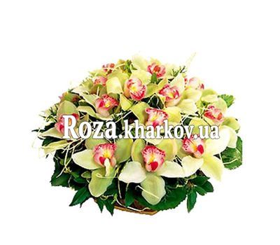 Корзина цветов из орхидей