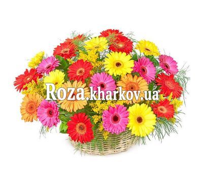 Корзина гербер