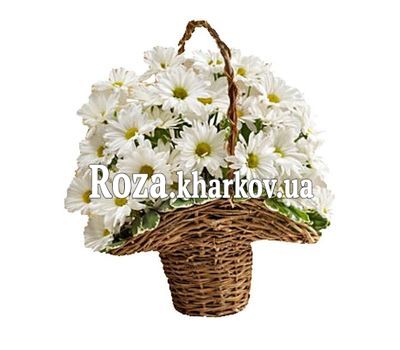 Корзина из хризантем