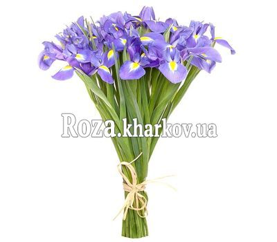 Красивый букет ирисов