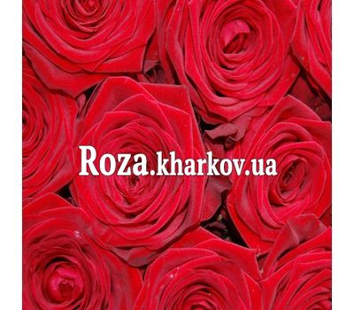 Червоні троянди поштучно Червоні троянди поштучно