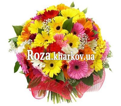 Купить герберы Купить герберы
