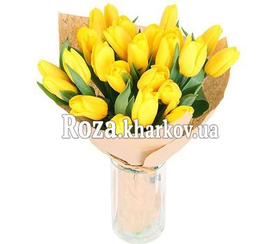 Yellow tulips Yellow tulips