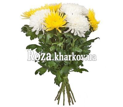 Белые и желтые одиночные хризантемы в букете