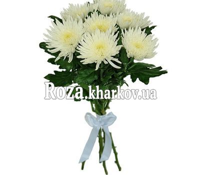 A small bouquet of single chrysanthemums
