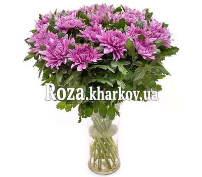 25 розовых одноголовых хризантем