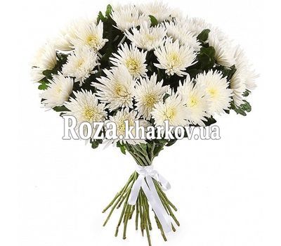 35 больших хризантем в букете