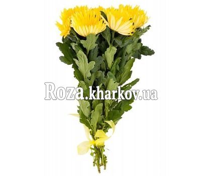 5 желтых одноголовых хризантем
